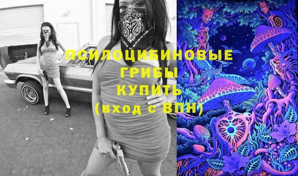 а пвп мука Богданович