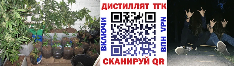 ТГК Wax  Михайлов 