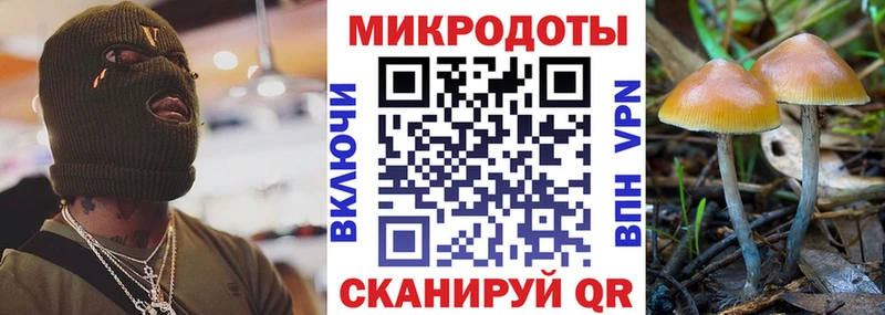 Галлюциногенные грибы MAGIC MUSHROOMS  Михайлов 